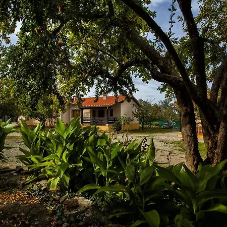 Casas Rurales Fuente Del Aliso *