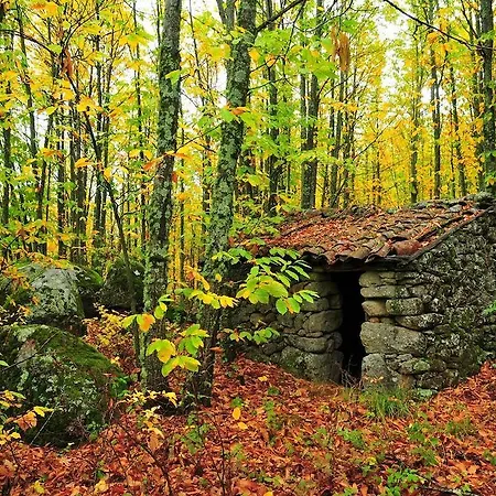 컨트리하우스 Casas Rurales Fuente Del Aliso