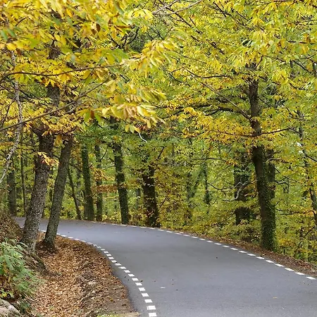 컨트리하우스 Casas Rurales Fuente Del Aliso *