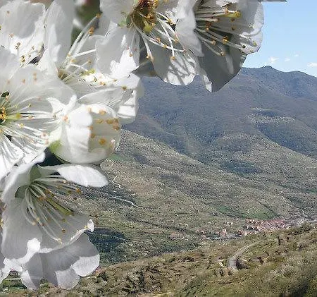 Casas Rurales Fuente Del Aliso
