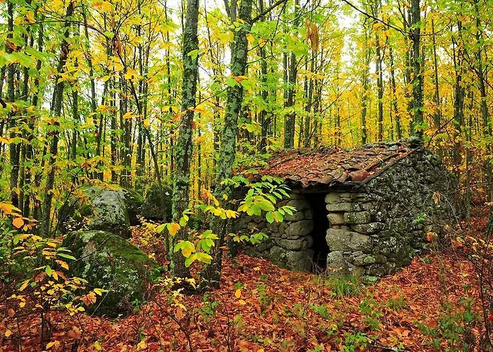 Летний дом Casas Rurales Fuente Del Aliso