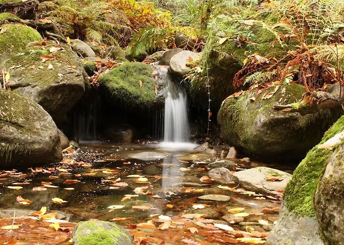 Летний дом Casas Rurales Fuente Del Aliso Хервас