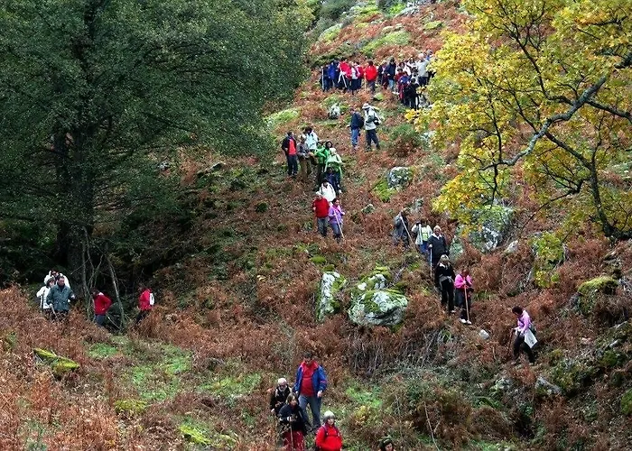 Casas Rurales Fuente Del Aliso