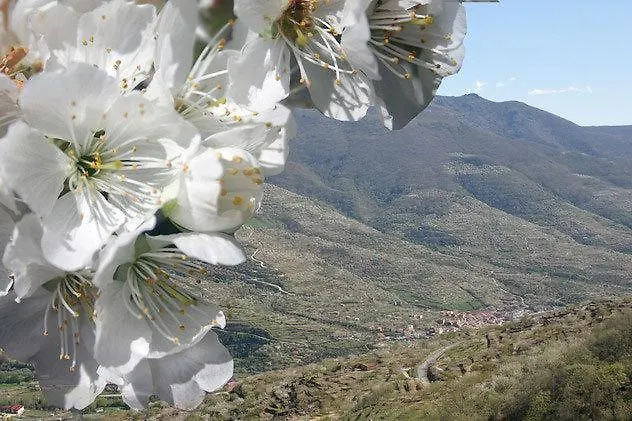 Casas Rurales Fuente Del Aliso
